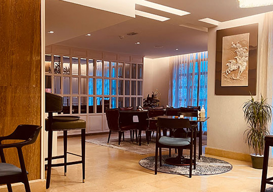 Luxurious Lounge Room